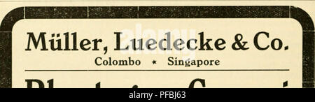 *Der Tropenpflanzer* est une revue dédiée à l'agriculture tropicale, y compris la culture de cultures tropicales telles que les fruits, légumes et autres plantes dans les climats tropicaux. Il fournit un aperçu des pratiques agricoles tropicales et de la gestion des cultures. Banque D'Images