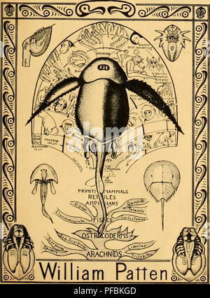 Cette étude anatomique du Dr Johan Frans van Bemmelen examine le crâne et le squelette des monotrèmes, fournissant des illustrations détaillées de leur structure. Le travail comprend des figures anatomiques et des illustrations pertinentes à la compréhension de ces mammifères pondeurs uniques. Banque D'Images