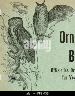 Cette publication est l'organe officiel de la Société suisse d'ornithologie et de protection des oiseaux. Il fournit une plate-forme pour l'étude, la protection et la conservation des oiseaux en Suisse, y compris des rapports, des articles et des recherches sur les espèces et habitats aviaires. Banque D'Images