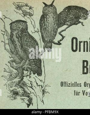 Cette publication est l'organe officiel de la Société suisse d'ornithologie et de protection des oiseaux, qui présente des articles sur la protection des oiseaux, les risques d'extinction et les efforts de conservation. Banque D'Images