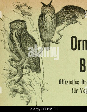 Cette publication est l'organe officiel de la Société suisse d'ornithologie et de protection des oiseaux, offrant des rapports sur les espèces d'oiseaux, leur comportement et les efforts de conservation en Suisse. Il couvre également des études relatives aux populations d'oiseaux et aux méthodes de protection. Banque D'Images