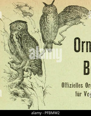 Cette revue se concentre sur l'ornithologie, l'étude des oiseaux, avec un accent sur la protection et la conservation des oiseaux en Suisse. Il sert d'organe officiel à la Société suisse d'ornithologie, rendant compte des études d'oiseaux et des efforts de conservation. Banque D'Images