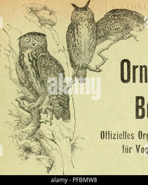 Cette revue, organe officiel de la Société suisse d'ornithologie et de protection des oiseaux, se concentre sur l'étude des oiseaux. Il comprend des contributions à la biologie des oiseaux, à la protection des espèces et à des observations sur la migration des oiseaux. La revue couvre également les recherches liées aux populations et comportements des oiseaux en Suisse et à l’étranger. Banque D'Images