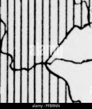 . Der Deutsche wald [microform]. Les forêts et la foresterie. f. ^ n. // ^ ^^n y :. Veuillez noter que ces images sont extraites de la page numérisée des images qui peuvent avoir été retouchées numériquement pour plus de lisibilité - coloration et l'aspect de ces illustrations ne peut pas parfaitement ressembler à l'œuvre originale.. Hausrath, Hans, 1866-. Leipzig und Berlin, B. G. Teubner