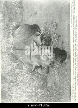 . Der Zauber des Elelescho. - 285 -. Veuillez noter que ces images sont extraites de la page numérisée des images qui peuvent avoir été retouchées numériquement pour plus de lisibilité - coloration et l'aspect de ces illustrations ne peut pas parfaitement ressembler à l'œuvre originale.. Schillings, Karl Georg, 1865-1921. Leipzig, R. Voigtler Banque D'Images