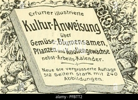 Cette image provient de la publication 'Der Tropenpflanzer', une revue dédiée à l'agriculture tropicale et aux plantes. Le journal contient des informations sur la culture, la propagation et les utilisations des cultures tropicales. Il fournit des informations précieuses sur les pratiques agricoles tropicales et la diversité de la vie végétale tropicale. Banque D'Images
