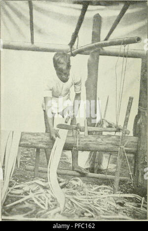 L'image montre une illustration de la culture de plantes tropicales, en se concentrant sur la technique de dessin de bandes de bast sous un couteau. Ce processus fait partie des pratiques agricoles présentées dans 'Der Tropenpflanzer', une revue allemande dédiée à l'agriculture tropicale. La publication met l'accent sur les méthodes de culture des cultures tropicales. Banque D'Images