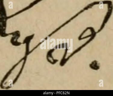 . Der Graupapagei. Seine Naturgeschichte ... Perroquet gris d'Afrique. Mai 7,1924 (Ireut3'Perlagsbucbt^anblung fdje (3t &AMP ; 5Ä. .Ti-etfcf)mann.) 1896.. Veuillez noter que ces images sont extraites de la page numérisée des images qui peuvent avoir été retouchées numériquement pour plus de lisibilité - coloration et l'aspect de ces illustrations ne peut pas parfaitement ressembler à l'œuvre originale.. Russ, Karl, 1833-1899), Richmond, Charles Wallace, 1868-1932 DSI. Magdeburg : Creutz'sche Derlagsbuchhandlung Banque D'Images