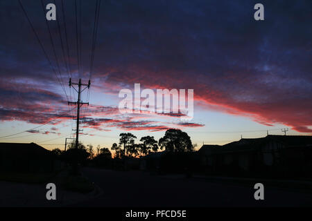 Adélaïde, Australie. Août 21, 2018. Maisons de banlieue et les eucalyptus qui se profile derrière un hiver spectaculaire coucher du soleil à Adélaïde : Crédit amer ghazzal/Alamy Live News Banque D'Images