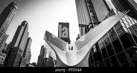 Situé dans le World Trade Centre, dans le quartier quartier financier de Manhattan à New York City. L'Oculus est une station principale sur t Banque D'Images