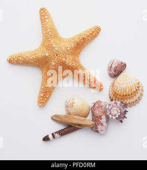 À côté de l'étoile de mer. Banque D'Images