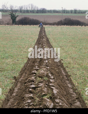 À l'aide d'agriculteurs tracteur pour labourer les sillons dans le champ. Banque D'Images