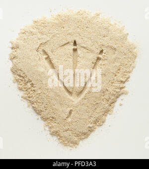 L'empreinte du canard dans le sable blanc, Close up Banque D'Images