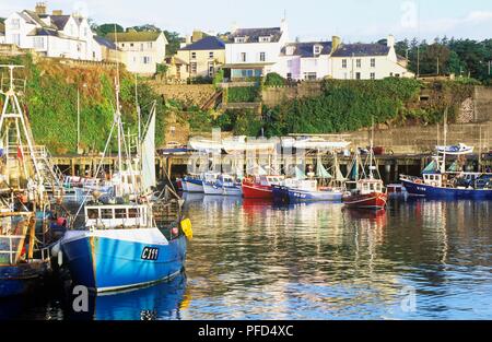 L'Irlande, le comté de Waterford, Dunmore East, vue sur le port et village de pêcheurs Banque D'Images