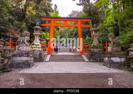 Torri (porte d'entrée) à Kasuga Taisha, Nara, Japon, Kansai Banque D'Images