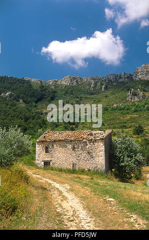 Chemin menant à la ferme abandonnée depuis la France rurale Banque D'Images