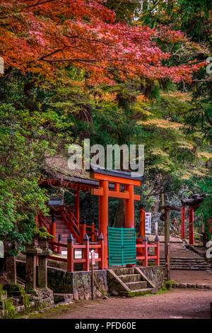 Torri (porte d'entrée) à Kasuga Taisha, Nara, Japon, Kansai Banque D'Images