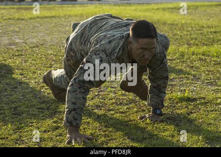 Le s.. Timothy B. Ruddick, étudiant, bien sûr, des instructeurs de conditionnement physique de la Force mène un ours ramper sur Camp Geiger, N.C., 5 juin. L'IFF-cours se concentre sur l'optimisation des performances, l'augmentation de la durabilité, et l'optimisation de l'état de préparation, de sorte que les Marines peuvent devenir plus efficaces au combat. Banque D'Images