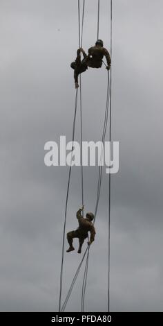 Soldats et aviateurs, le rappel d'un hélicoptère UH-60 lors de la phase finale de l'École d'assaut aérien, s'est déroulée au Camp Rilea à Warrenton, Ore., le 6 juin 2018. Des étudiants formés, physiquement et mentalement pour parvenir à l'occasion de gagner leur insigne d'assaut aérien. ( Banque D'Images