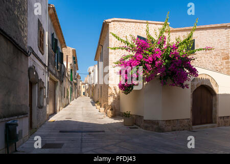 Vue d'une rue étroite de la vieille ville d'Alcudia, Mallorca, Espagne. Banque D'Images