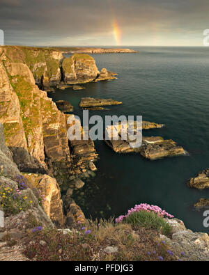 Arc-en-ciel sur les falaises de South Stack sur la côte d'Anglesey, dans le Nord du Pays de Galles Banque D'Images