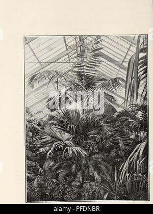 Ce catalogue illustré de Pitcher & Manda détaille une variété de graines, de plantes et de bulbes rares et nouveaux. Il présente différentes fleurs ornementales, des légumes et les outils et équipements de jardinage nécessaires pour une culture réussie dans le climat du New Jersey. Banque D'Images