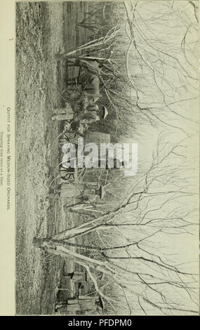 . Bulletin du Ministère. Bull. 20, Div. Veg. Pliys. Il Pjth., U. b. D&Lt ;^|)1. ct AgiKuiture. XXVII de la plaque.. Veuillez noter que ces images sont extraites de la page numérisée des images qui peuvent avoir été retouchées numériquement pour plus de lisibilité - coloration et l'aspect de ces illustrations ne peut pas parfaitement ressembler à l'œuvre originale.. United States. Ministère de l'Agriculture ; Patterson, de la flore. Les champignons . . ; Pierce, Newton Barris. Peach leaf curl . .. Washington, gouvernement. L'impression. L'arrêt. Banque D'Images