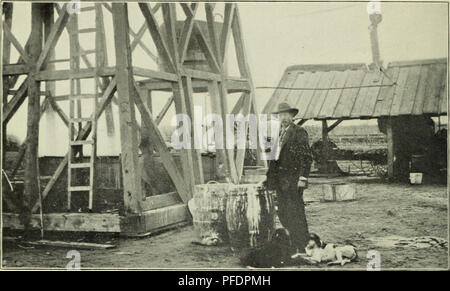 . Bulletin du Ministère. Bull. 20, Div. Veg. Pnys. &Amp ; Chemin., U.S. Dept. of Agriculture. XXII de la plaque.. Veuillez noter que ces images sont extraites de la page numérisée des images qui peuvent avoir été retouchées numériquement pour plus de lisibilité - coloration et l'aspect de ces illustrations ne peut pas parfaitement ressembler à l'œuvre originale.. United States. Ministère de l'Agriculture ; Patterson, de la flore. Les champignons . . ; Pierce, Newton Barris. Peach leaf curl . .. Washington, gouvernement. L'impression. L'arrêt. Banque D'Images