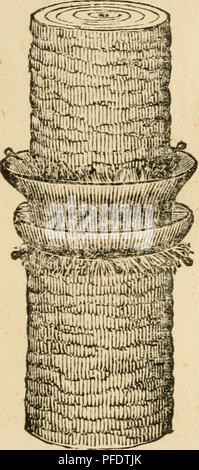. Dennis' ; manuel de la soie. Les vers à soie. [From old catalog] ; l'industrie de la soie. /. Dennis^ Brevet JrJs Amélioration de la méthode de prévenir le chancre bactérien Wor^ns, ou autres en^ les sectes, de l'ordre croissant des fruits ou d'autres arbres. Cette invention est composé d'un TICR.ular creux métallique, et le toit, constitué d'un morceau de métal, et sfenerally fait de plomb, et se pencha de façon à correspondre à la forme de l'arbre^ et les extrémités soudées, de manière à faire un creux complet com- ly autour de l'arbre, avec un toit au-dessus de lui, et a fait si grand qu'un pouce entre la dépression et l'arbre, qui permettra à l'arbre de croître cinq ou dix ans : Banque D'Images