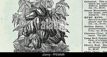 . Catalogue descriptif de légumes, de fleurs, et des semences de ferme. Pépinières (Horticulture) ; le matériel de pépinière ; semences, bulbes (plantes) ; jardinage ; Matériel et fournitures ; plantes ; Weeber &AMP ; Don. AMERICAN WONDER POIS. Très tôt les pois. GEM PREMIUM Pois NAIN TRÈS TÔT-suite. McLean's petite perle. L'une des meilleures courges froissé nain cultivé ; très productifs et de saveur fine ; 1 % ft. Par pt., 15 cts. ; qt., 30 cts. ; Peck, 1,75 $. Très tôt Gem Premium. Le petit bijou de l'ordre, mais une amélioration de la qualité et de la productivité ; 1J4 ft. Par pt., 15 cts. ; qt., 30 cts. ; Peck, 1,75 $. Bl Banque D'Images