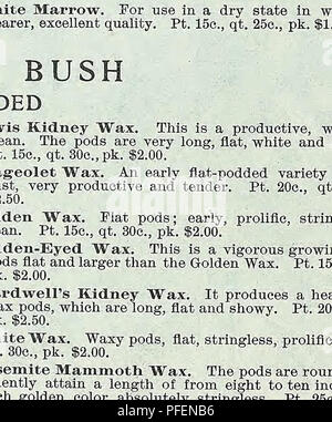 . Catalogue descriptif de légumes, de fleurs, et des semences de ferme. Pépinières (Horticulture) ; le matériel de pépinière ; semences, bulbes (plantes) ; jardinage ; Matériel et fournitures ; plantes ; Weeber &AMP ; Don. DREER PÔLE de haricots de Lima Pt. 20c, qt. Grande BETTERAVE Haricot de lima blanc allemand, Rothe Ruben. Le français, l'Betieiave. L'espagnol, Re.moJ.acha. Une once sèmera 50pieds du semoir. Un profond, riche et plutôt sol léger, qui a été bien auparavant, fumure- est plus pour la culture de betteraves. Pour le début de l'énoncé des travaux d'alimentation dès que le sol est en état de fonctionnement, dans un pied en dehors des exercices et deux pouces de profondeur. Pour la campagne principale, ét Banque D'Images