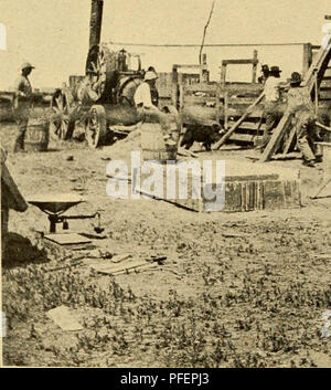 . Description et traitement de la gale chez les bovins. La gale chez les bovins. Fig. 1.-Langedahl. Cage montée chargé avec deux jeunes d'un an. "J.ii5*'4p.. Veuillez noter que ces images sont extraites de la page numérisée des images qui peuvent avoir été retouchées numériquement pour plus de lisibilité - coloration et l'aspect de ces illustrations ne peut pas parfaitement ressembler à l'œuvre originale.. Hickman, Richard W. (Richard West), 1852-1926. Washington, Govt. imprimer. off. Banque D'Images