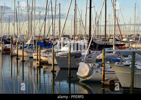 Lignes de voiliers et bateaux à moteur en marina serrées dans des lumière du soir. Banque D'Images