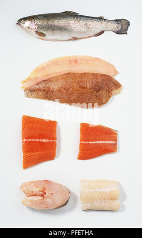 Truite entière, les filets de sole, filets de saumon, Pavé de cabillaud, filet d'aiglefin Banque D'Images