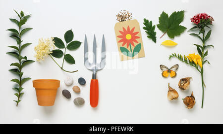 Les plantes de jardin et l'équipement utilisés pour le jardinage, y compris les pots, cailloux, graines, fourche, et un papillon Banque D'Images