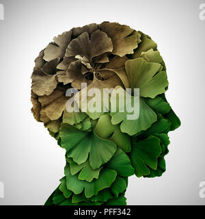 Concept de la démence et la perte de mémoire ou le vieillissement du cerveau en raison de la maladie d'Alzheimer en tant que médecin avec l'icône en forme de feuilles de ginkgo biloba qu'une tête humaine. Banque D'Images