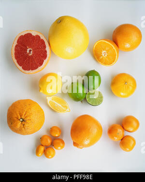 Sélection d'agrumes frais, pamplemousses roses, Oranges, mandarines, citrons, limes, Manderin, Clementin, Satsumas Banque D'Images