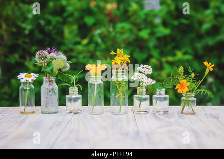 Les extraits de plantes dans de petites bouteilles. Focus sélectif. nature. Banque D'Images