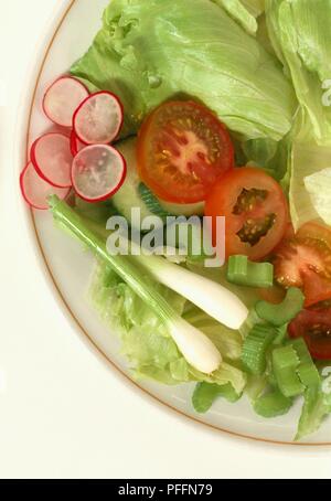 Mélange de salade sur une assiette, à base de tomates, concombre, laitue, oignons, céleri, radis, close-up Banque D'Images