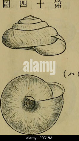 Cette image de *Dbutsugaku Zasshi* présente une illustration scientifique sur la zoologie. Il comprend une étude approfondie de la physiologie et de l'anatomie de diverses espèces animales. L’objectif de ce numéro est d’analyser les traits zoologiques spécifiques et les comportements de différents animaux à travers la représentation visuelle. Banque D'Images