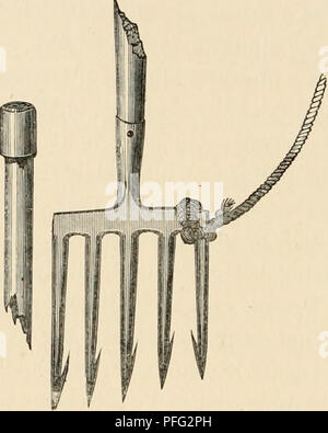 Cette image tirée de « jours et nuits de pêche au saumon dans la rivière Tweed » offre un aperçu des méthodes traditionnelles de pêche au saumon le long de la rivière Tweed. L'illustration montre le processus de capture du saumon à l'aide de divers outils, y compris des cordes, des lyams et des gâchettes, offrant une perspective historique des pratiques de pêche. Banque D'Images