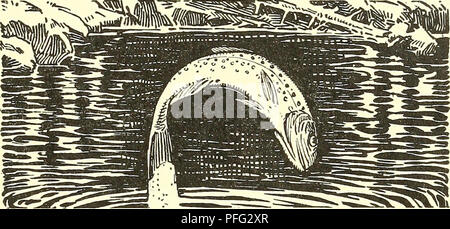 . Jours à l'air libre. La pêche. ILLUSTRATIONS PAGE " quand le ressort vient fret o'er que vous " . Les titres brook avait dix milles de rire argenté . 14 Dixon's Mill ! Comment les nerfs tingle à l'écriture de ces deux mots .... 104 Les eaux du lac creux et flash au soleil 126 ici on pouvait capturer des truites de montagne avec le fly 146 Nous sommes liés jusqu'à une plage de sable fin . .172 Avez-vous oublié votre enfance ? . . 229 . C'est ici que le despote est né . . 240 9. Veuillez noter que ces images sont extraites de la page numérisée des images qui peuvent avoir été retouchées numériquement pour lire Banque D'Images