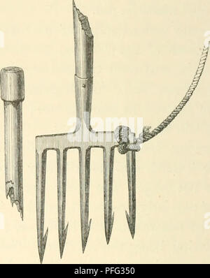 Cette illustration de *jours et nuits de pêche au saumon sur le Tweed* illustre la méthode traditionnelle d'utilisation d'un leister de drapage pour attraper le saumon. L'image donne un aperçu des techniques de pêche au saumon et de l'histoire naturelle du saumon dans la région de la rivière Tweed. Banque D'Images