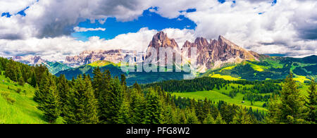 Vue panoramique sur le magnifique groupe Langkofel des Dolomites et le vert plateau alpin Alpe di Siusi, dans le Tyrol du Sud Italie Banque D'Images