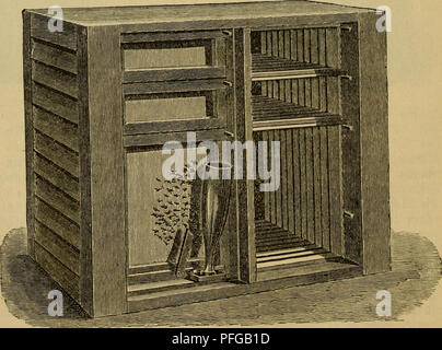 'DAS Buch von der Biene' est un texte détaillé sur l'apiculture, décrivant le comportement, l'anatomie et les pratiques de l'apiculture. Il fournit un guide complet pour l'apiculture et la gestion des colonies d'abeilles. Banque D'Images