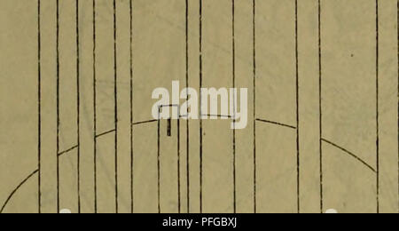 Cette image de 'Dbutsugaku Zasshi' (Journal zoologique) contient d'autres notes de recherche zoologique sur le comportement et la classification des animaux. Il reflète les études en cours en biologie animale, avec un accent sur la taxonomie animale et les rôles écologiques dans l'environnement. Banque D'Images