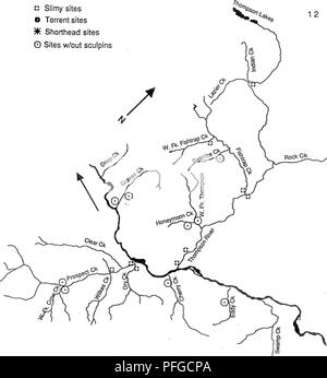 . (Cottus) distribution dans le forêt nationale de Kootenai et l'ouest de la Forêt Nationale de Lolo Montana . Les chabots ; populations de poissons ; les populations de poissons. " Sites visqueux O sites de Torrent sites rouge SK 0 Sites w/out chabot. Figure 3 : Répartition des les chabots visqueux, torrent les chabots et chabot à tête courte dans le bassin hydrographique de la rivière Thompson et à côté les affluents de la rivière Clark Fork.. Veuillez noter que ces images sont extraites de la page numérisée des images qui peuvent avoir été retouchées numériquement pour plus de lisibilité - coloration et l'aspect de ces illustrations ne peut pas perfec Banque D'Images