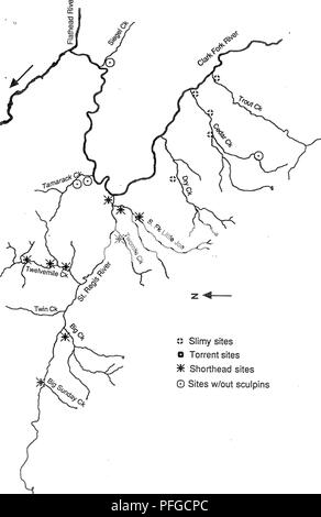 . (Cottus) distribution dans le forêt nationale de Kootenai et l'ouest de la Forêt Nationale de Lolo Montana . Les chabots ; populations de poissons ; les populations de poissons. 13 j&gt ; sites visqueux O ^000 sites de Torrent sites rouge 0 Sites w/out chabots Figure 4 : Répartition des les chabots visqueux, torrent les chabots et chabot à tête courte dans le bassin hydrographique de la rivière St Regis adjacent et les affluents de la rivière Clark Fork.. Veuillez noter que ces images sont extraites de la page numérisée des images qui peuvent avoir été retouchées numériquement pour plus de lisibilité - coloration et l'aspect de ces illustrations ne peut pas perfe Banque D'Images