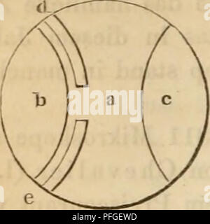 . Das mikroskop. Theorie, gebrauch, Geschichte und gegenwärtiger zustand desselben. Les microscopes. 09G Dornet, Tulley, Bernardino Marzoli. apparat bei auffallendem Lichte zu dienen. Dieser Vorschlag scheint auch nicht dessen- zur Ausführung gekommen zu sein. Noch weniger Erfolg Dornet. dans Frank- Fig. 285. empire en den Jahren 1821 bis 1823. Seine achro- matischen Linsen hatten einen Durchmesser von 12 millimètre bei einer Brennweite Von 40 bis 50 millimètres ; Mikroskopobjective als sie konnten daher gewiss nur bei sehr geringen- Vergrös serungen Anwendung finden. (Chevalier, die Mikroskope Banque D'Images