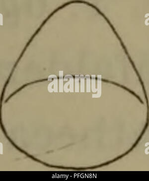 Ce guide illustré de la faune danoise fournit des descriptions détaillées de la vie animale du pays, y compris les espèces d'insectes et leurs habitats. Il comprend des illustrations scientifiques et des informations sur les caractéristiques anatomiques de diverses espèces danoises, contribuant à la compréhension de la biodiversité du Danemark. Banque D'Images